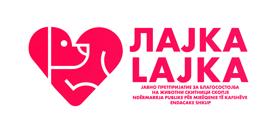 Кучиња во прифатилиште и процес на вдомување